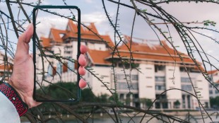 相册里的“嘉园”