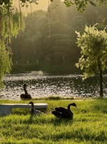 “嘉园”里的伴学伙伴