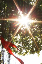 生命与光在混沌中弥散