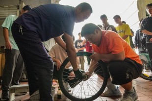 &ldquo;嘉&rdquo;有小绿