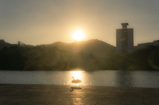 镜头里——“嘉庚”的不同角落