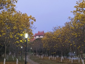 别错过“嘉园”四季