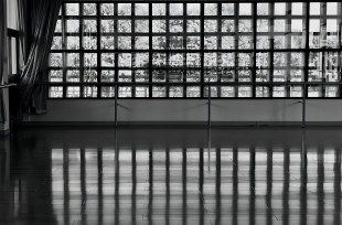 &ldquo;嘉&rdquo;的光与影