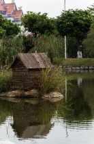 鹅宝宝的“嘉园”