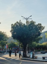 &ldquo;嘉园&rdquo;有自己的爱心树