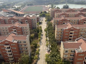 光影下的“嘉园”大道