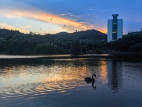 &ldquo;嘉园&rdquo;色彩拼图