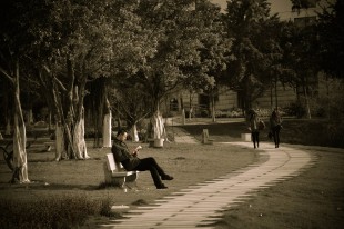 春天不是读书天