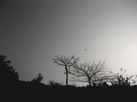 一半温暖一半凉