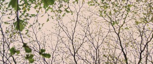 那些你忽略的风景