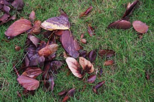 我们未曾留恋的视线