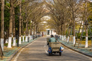 &ldquo;视察&rdquo;嘉园