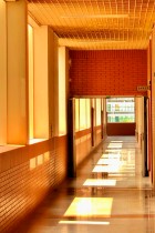 洒在走廊上的光