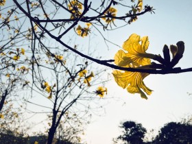 &ldquo;嘉园&rdquo;的春