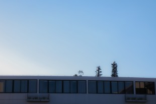 &ldquo;嘉&rdquo;寻，百年风华正青春