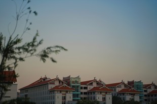 我的大学