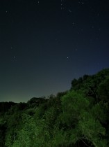 &ldquo;嘉园&rdquo;有繁星