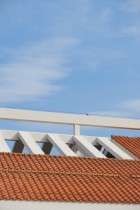 在屋脊上的小憩