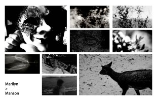 玛丽莲&middot;曼森