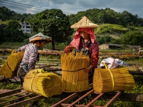 记住&ldquo;香&rdquo;愁