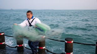 夫前撒网如飞轮