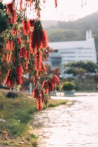 &ldquo;嘉&rdquo;里的后花园