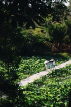 &ldquo;嘉&rdquo;是开满花的家