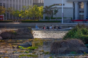 栖霞湖上赛龙舟