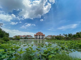 初夏遇&ldquo;嘉庚&rdquo;