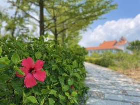 送&ldquo;嘉&rdquo;一朵小红花儿