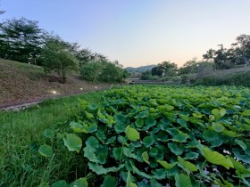 最美不过我嘉春