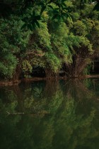 万物萌动，自由生长