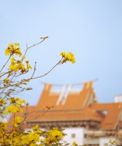 &ldquo;嘉园&rdquo;花开