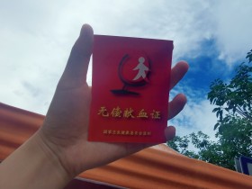 献血红遇上志愿橙