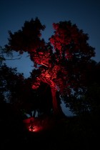 魔幻&ldquo;嘉庚&rdquo;