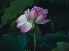 十万分之一的幸运