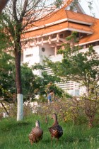 &ldquo;嘉园&rdquo;精灵