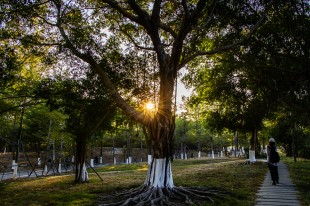 &ldquo;嘉园&rdquo;秀色