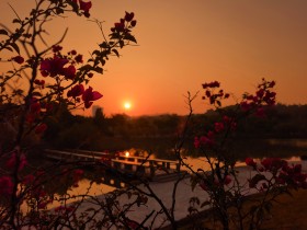 独属&ldquo;嘉园&rdquo;的日出