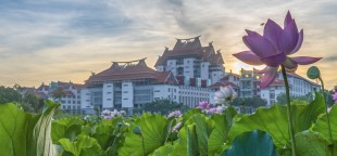 &ldquo;嘉&rdquo;荷迎晨曦