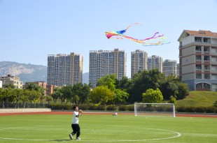 谁不渴望，风筝的自由