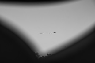 封校，&ldquo;小绿&rdquo;视角