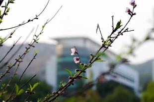 &ldquo;嘉园&rdquo;之春