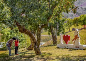 &ldquo;嘉园&rdquo;小小摄影师