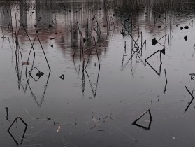 &ldquo;几何&rdquo;