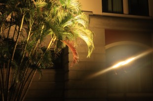 我眼中的&ldquo;嘉&rdquo;