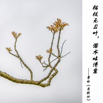 黄叶颂诗文