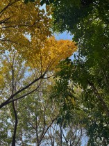 四季之&ldquo;嘉&rdquo;