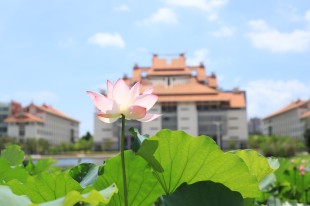 "嘉园"主元素&mdash;主楼