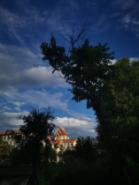 油画里的&ldquo;嘉园&rdquo;